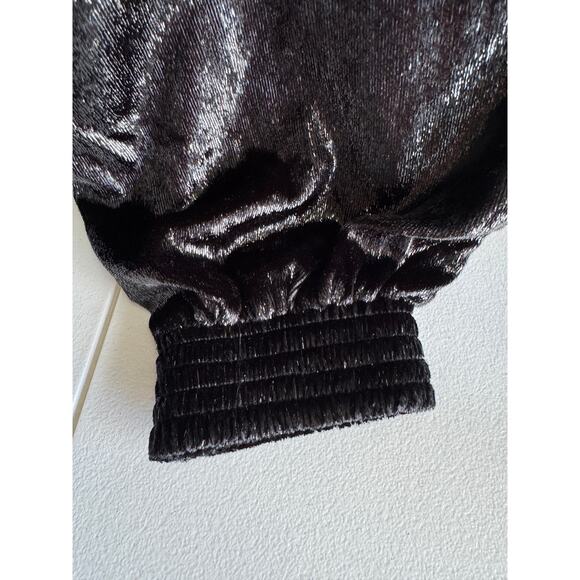 7 for all Mankind Glitter Joggers Heavy velor S - Picture 4 of 9